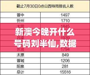 新澳今晚开什么号码刘半仙,数据解答解释定义_DP8.146