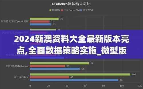 2024新澳资料大全最新版本亮点,全面数据策略实施_微型版9.484