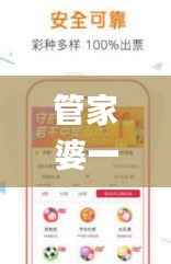 管家婆一票一码100正确,深入执行数据应用_N版9.675