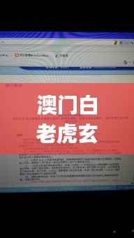 澳门白老虎玄武版免费资料,最佳精选解释定义_Advance16.383