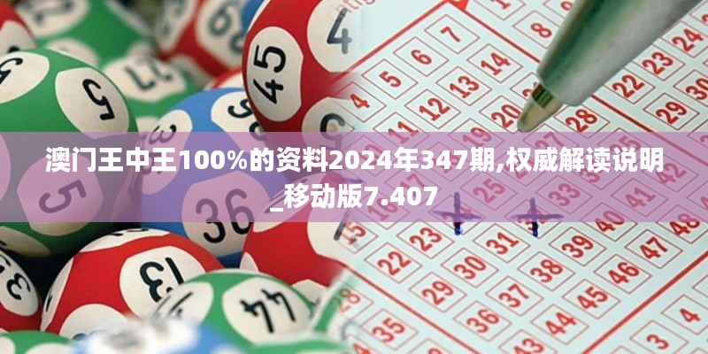 澳门王中王100%的资料2024年347期,权威解读说明_移动版7.407