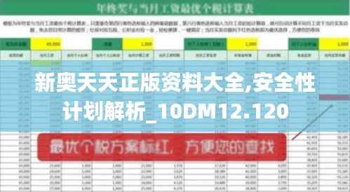 新奥天天正版资料大全,安全性计划解析_10DM12.120