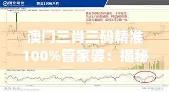 澳门三肖三码精准100%管家婆:揭秘最高命中率的背后逻辑