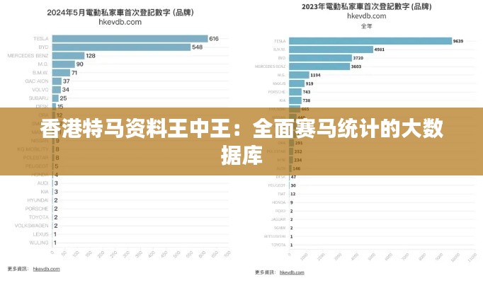 香港特马资料王中王:全面赛马统计的大数据库