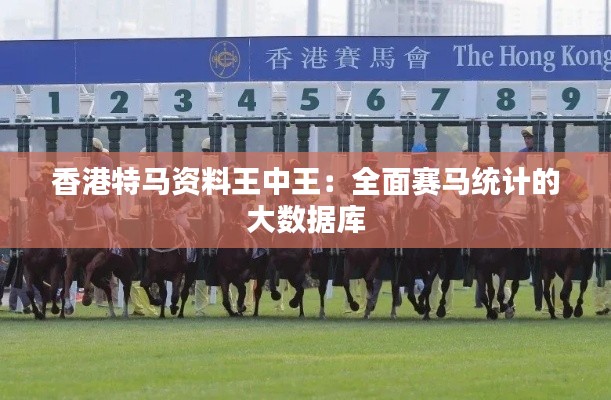 香港特马资料王中王:全面赛马统计的大数据库