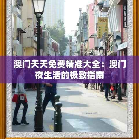 澳门天天免费精准大全:澳门夜生活的极致指南