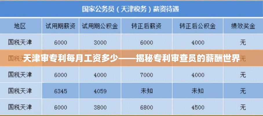 天津审专利每月工资多少——揭秘专利审查员的薪酬世界