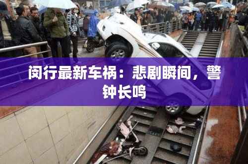 闵行最新车祸:悲剧瞬间,警钟长鸣