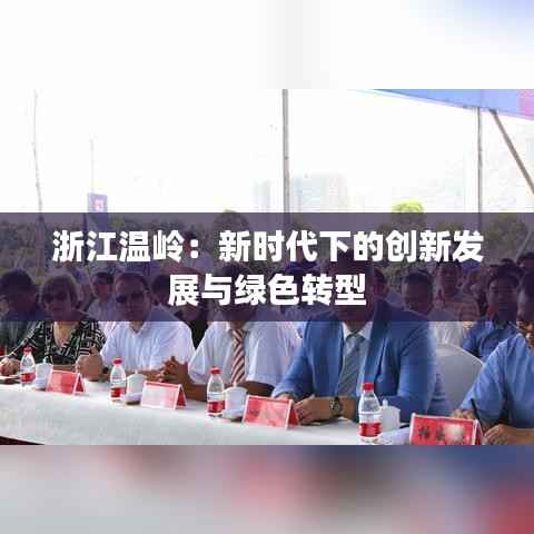 浙江温岭:新时代下的创新发展与绿色转型