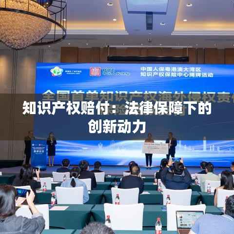 知识产权赔付:法律保障下的创新动力