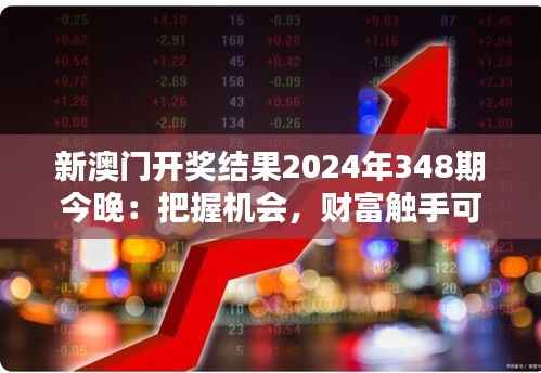 新澳门开奖结果2024年348期今晚:把握机会,财富触手可及