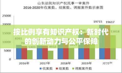 按比例享有知识产权:新时代的创新动力与公平保障