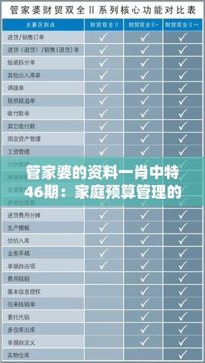 管家婆的资料一肖中特46期:家庭预算管理的实用技巧