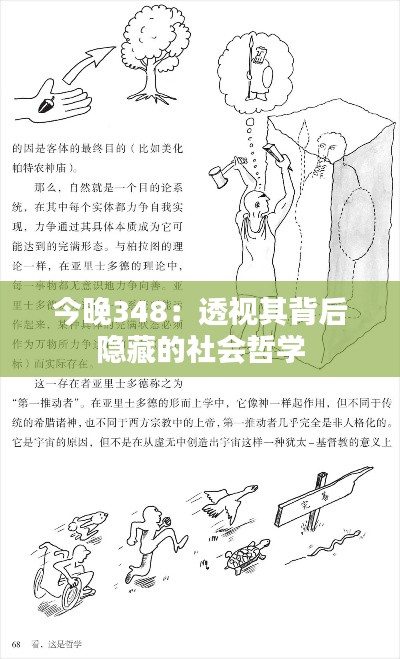 今晚348:透视其背后隐藏的社会哲学