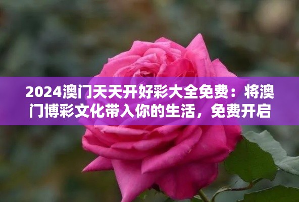 2024澳门天天开好彩大全免费:将澳门博彩文化带入你的生活,免费开启好运之门