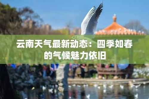 云南天气最新动态:四季如春的气候魅力依旧