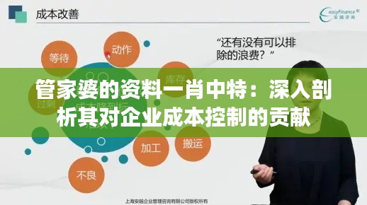 管家婆的资料一肖中特:深入剖析其对企业成本控制的贡献