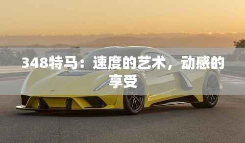 348特马:速度的艺术,动感的享受