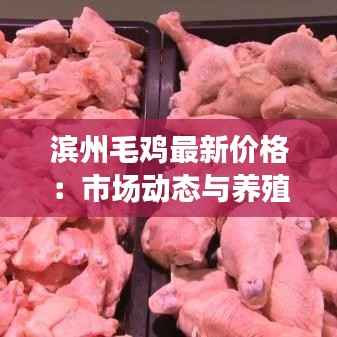 滨州毛鸡最新价格:市场动态与养殖前景分析
