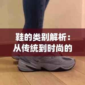 鞋的类别解析:从传统到时尚的演变