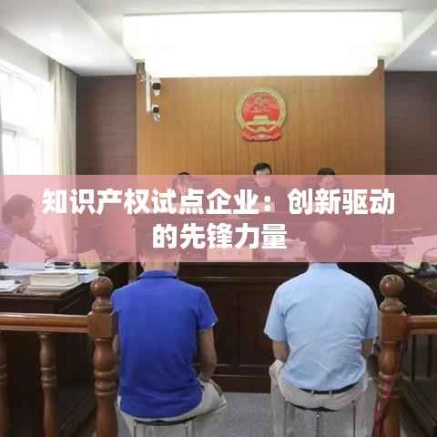 知识产权试点企业:创新驱动的先锋力量