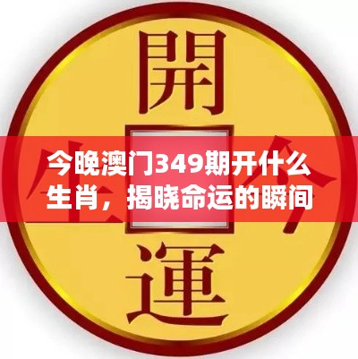 今晚澳门349期开什么生肖,揭晓命运的瞬间