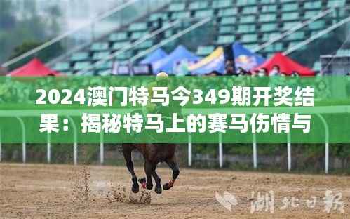 2024澳门特马今349期开奖结果:揭秘特马上的赛马伤情与幸运逆转