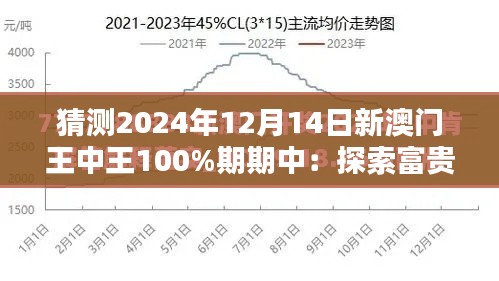 猜测2024年12月14日新澳门王中王100%期期中:探索富贵赢家的秘密