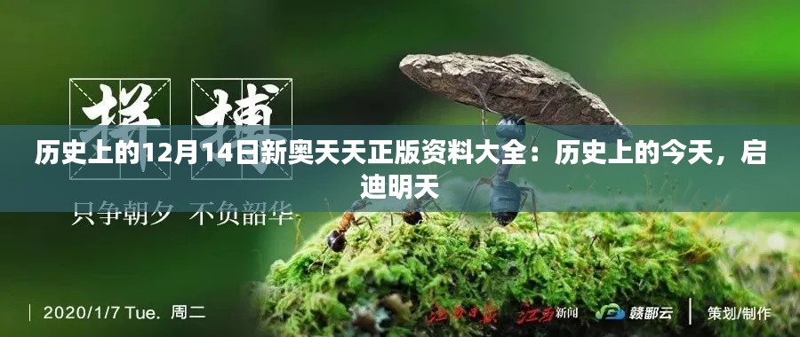 历史上的12月14日新奥天天正版资料大全:历史上的今天,启迪明天