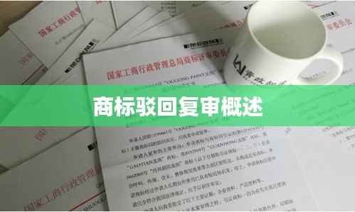 商标驳回复审概述
