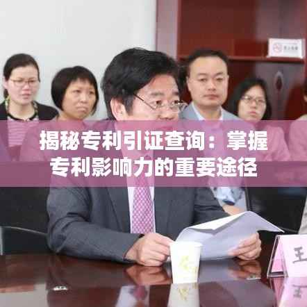 揭秘专利引证查询:掌握专利影响力的重要途径