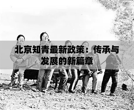 北京知青最新政策:传承与发展的新篇章