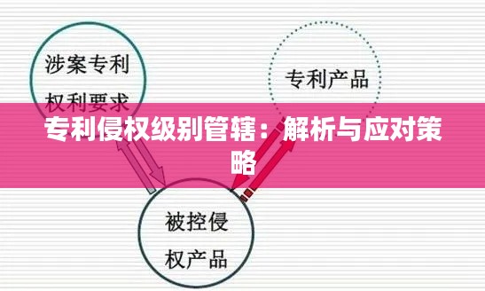 专利侵权级别管辖:解析与应对策略