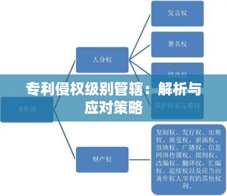专利侵权级别管辖:解析与应对策略