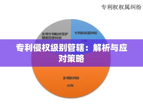 专利侵权级别管辖:解析与应对策略