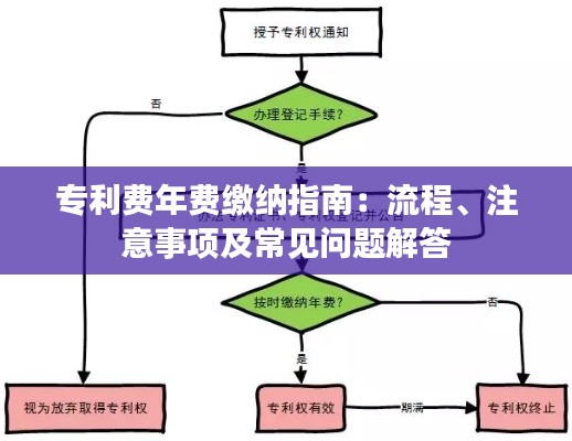 专利费年费缴纳指南:流程、注意事项及常见问题解答