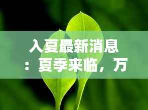入夏最新消息:夏季来临,万物复苏,我们一起迎接美好时光