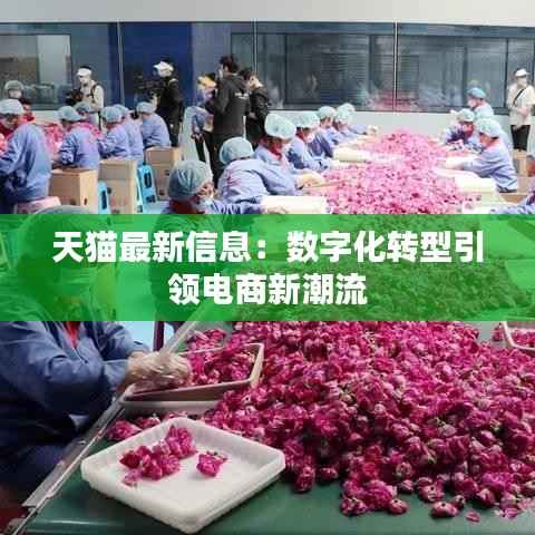 天猫最新信息:数字化转型引领电商新潮流
