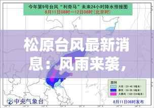 松原台风最新消息:风雨来袭,全力应对