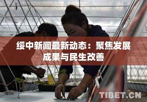 绥中新闻最新动态:聚焦发展成果与民生改善