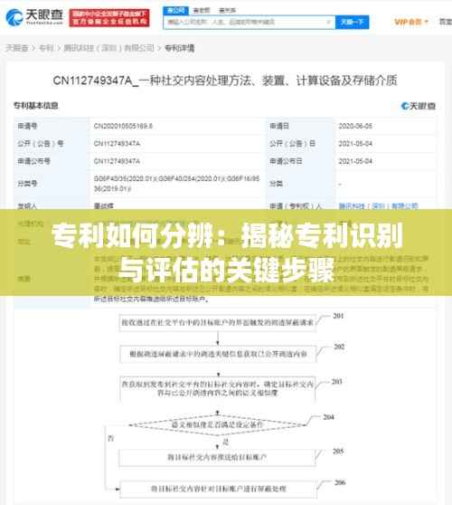 专利如何分辨:揭秘专利识别与评估的关键步骤