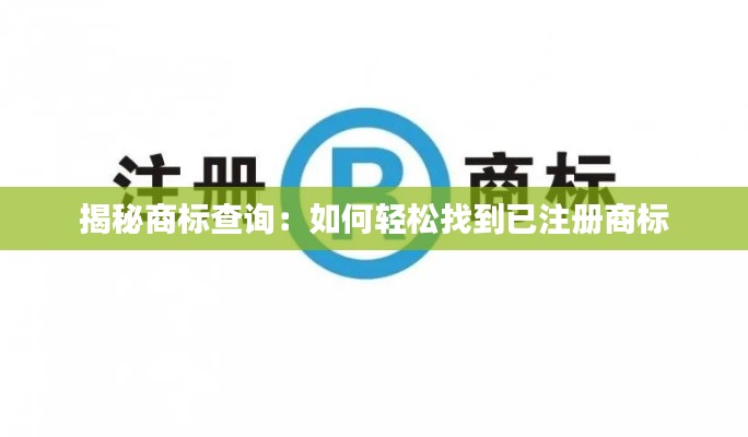 揭秘商标查询:如何轻松找到已注册商标
