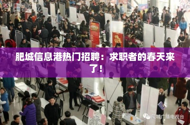 肥城信息港热门招聘:求职者的春天来了!