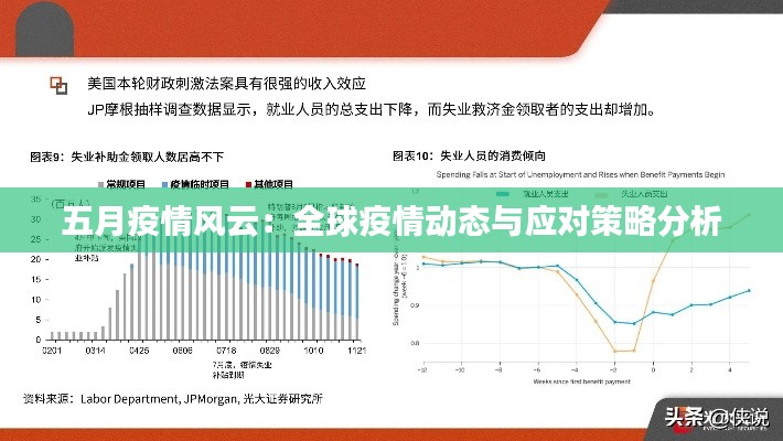 五月疫情风云:全球疫情动态与应对策略分析