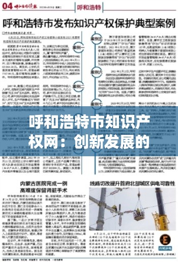呼和浩特市知识产权网:创新发展的护航者