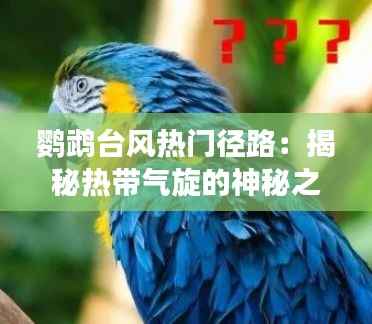 鹦鹉台风热门径路:揭秘热带气旋的神秘之旅
