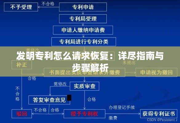 发明专利怎么请求恢复:详尽指南与步骤解析