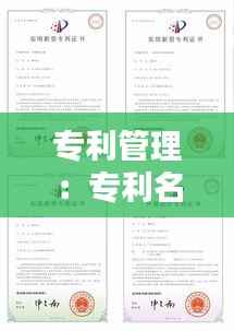 专利管理:专利名称汇总与分类解析