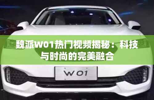 魏派W01热门视频揭秘:科技与时尚的完美融合