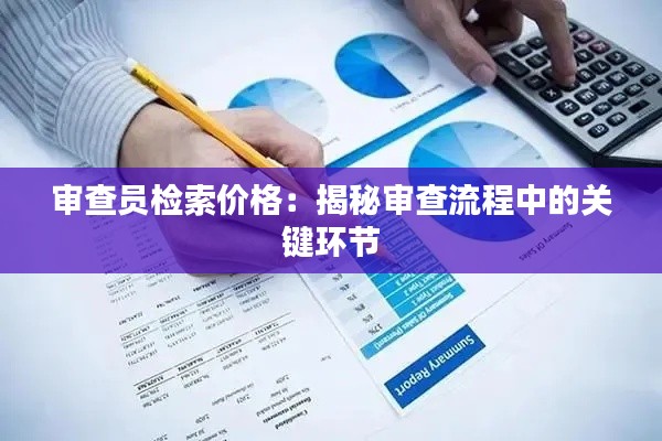 审查员检索价格:揭秘审查流程中的关键环节